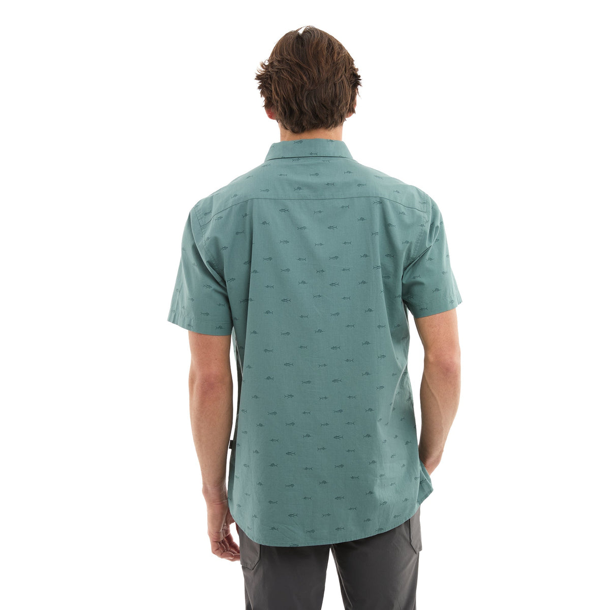 Button Up - Knockdown